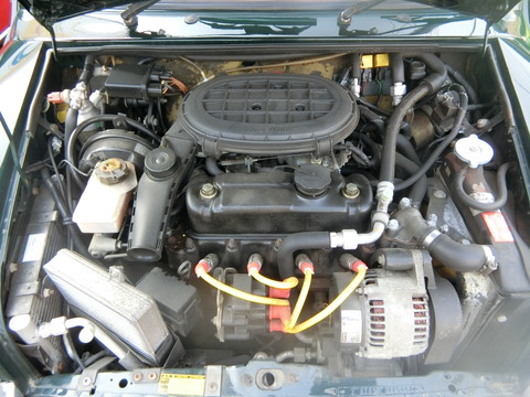 CIMG8104