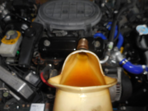 DSCN4713