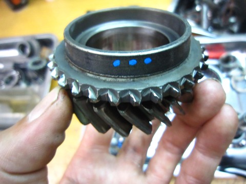 18836319_659830184222155_1609253933_o