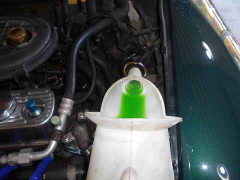 DSCN6155