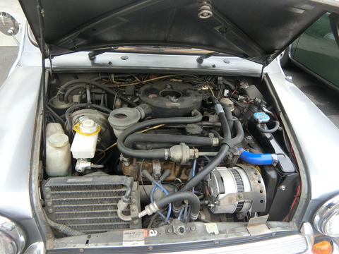 CIMG2337
