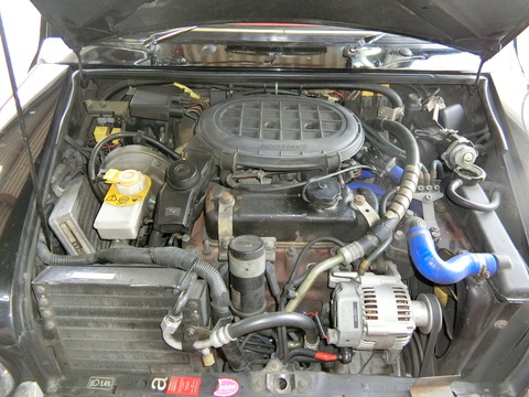 CIMG3041