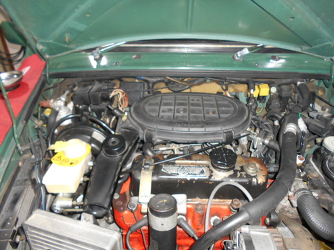 DSCN5386