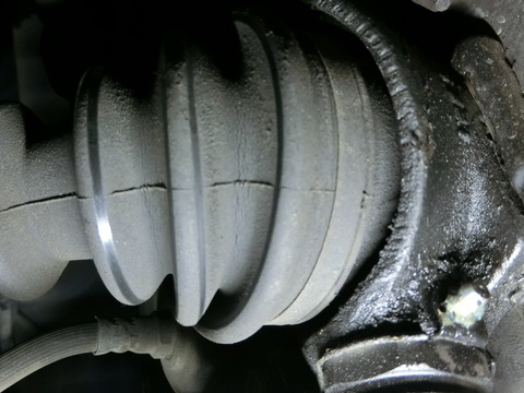 CIMG4289