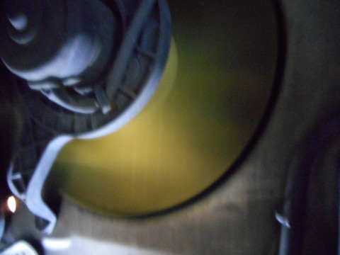 DSCN3990