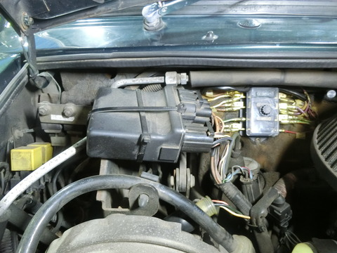 CIMG8800