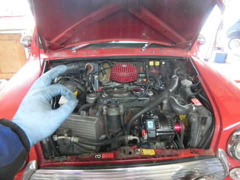 CIMG3300