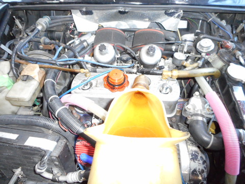 DSCN1976