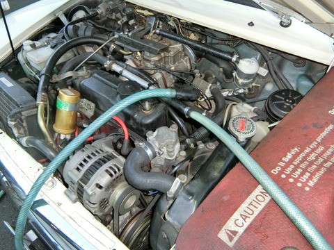 CIMG5446