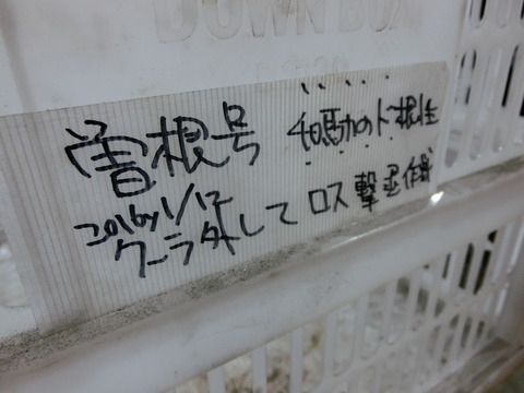 CIMG8381