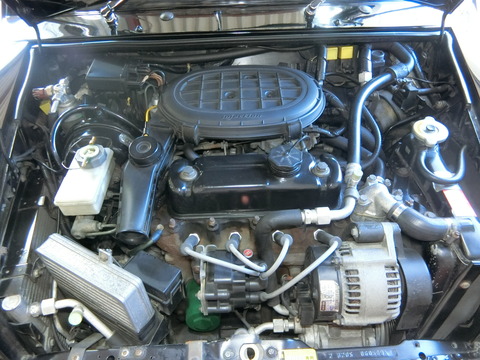CIMG6818