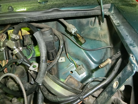 CIMG5477