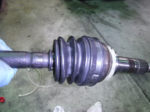 DSCF0492