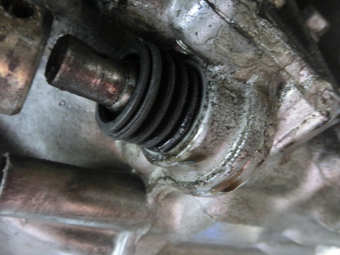 CIMG6054
