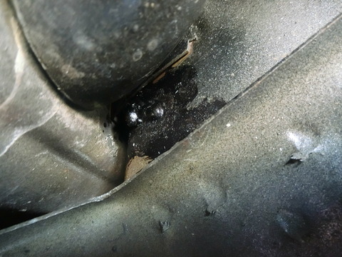 CIMG5958