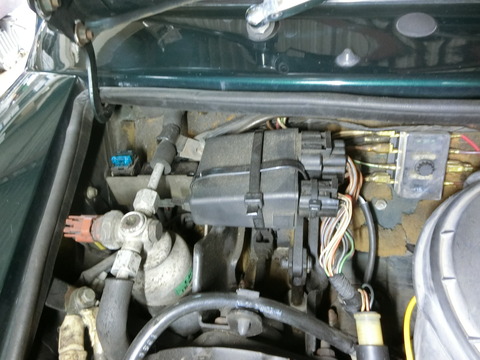 CIMG2518