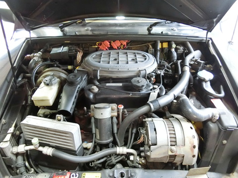 CIMG9324