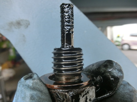 CIMG5250
