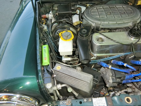 CIMG5387