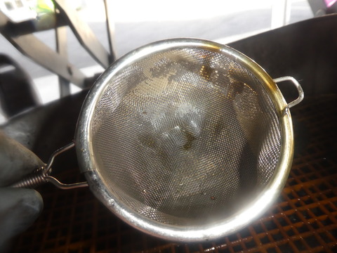 P1100071