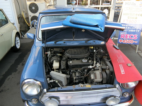 CIMG3135