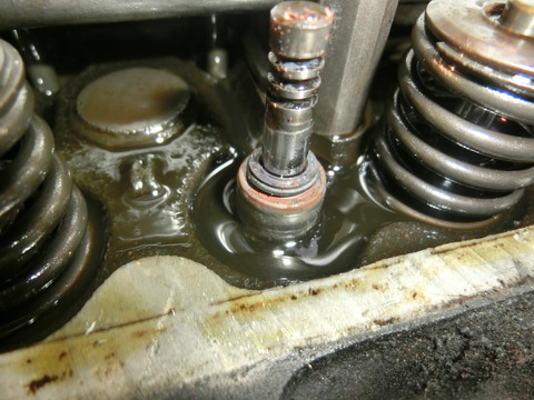 CIMG1530