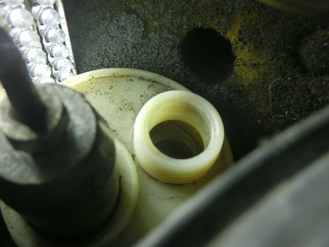 CIMG1256