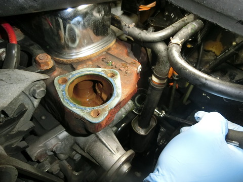 CIMG1324