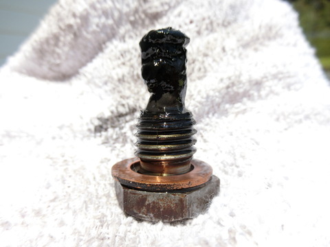 CIMG4259
