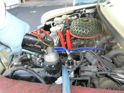 CIMG3184