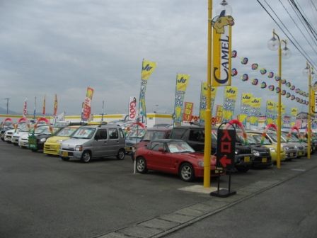 20100809_1103829