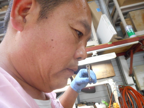 DSCN8529