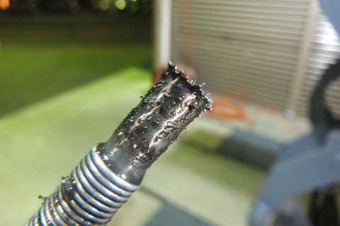 DSCF6685