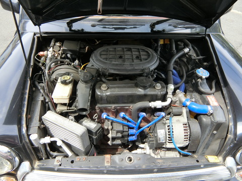 CIMG1177