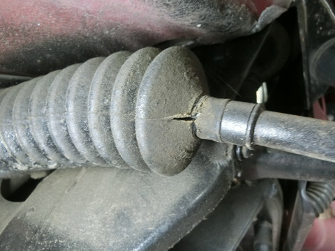 CIMG7075