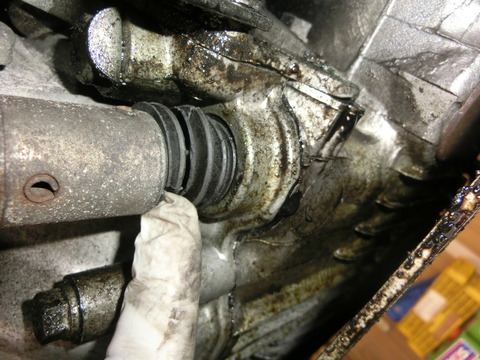 CIMG2114
