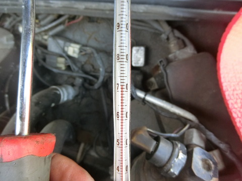 CIMG6000