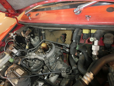 CIMG6006