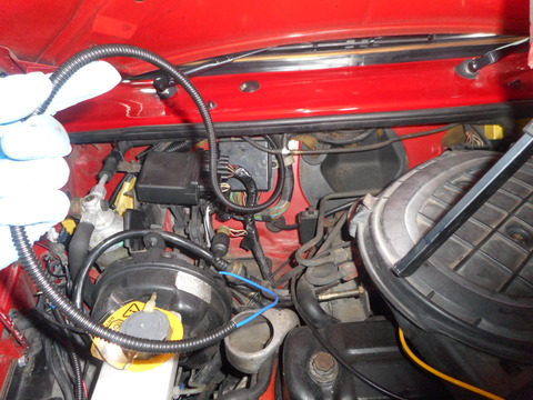 DSCN0539