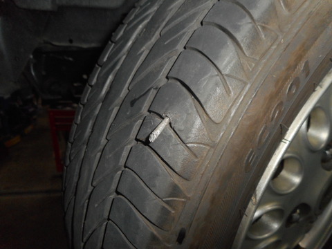 DSCN6069