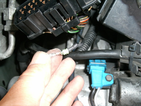 GEDC0249