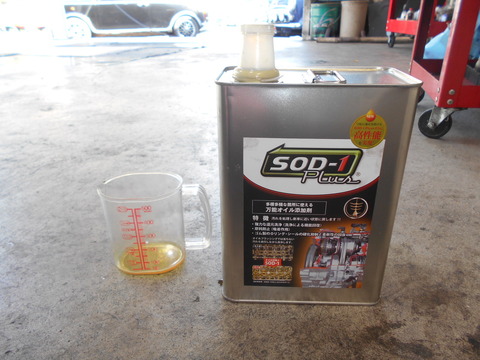 DSCN5200