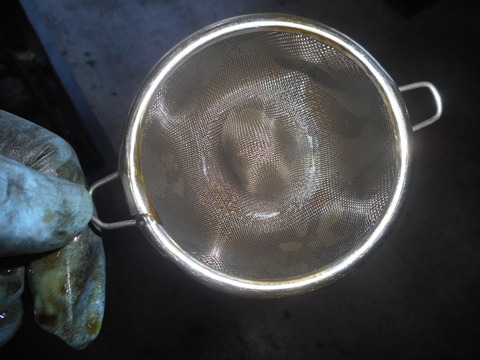 DSCN3563
