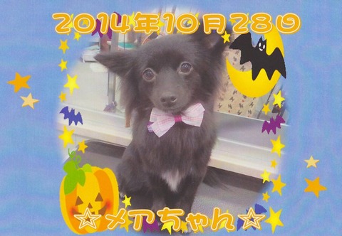 20141028194845
