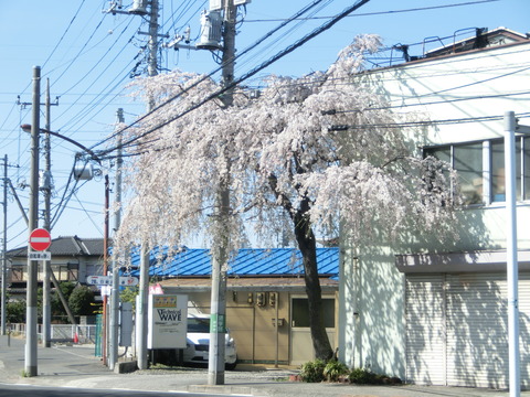 CIMG2633