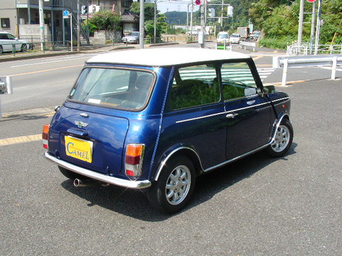 SANY9650