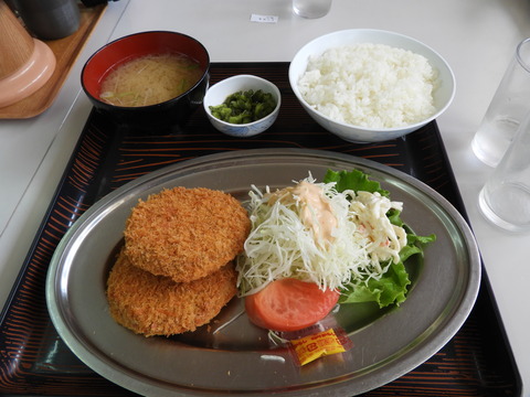DSCN4661