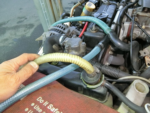 CIMG5448