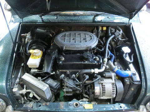CIMG2600