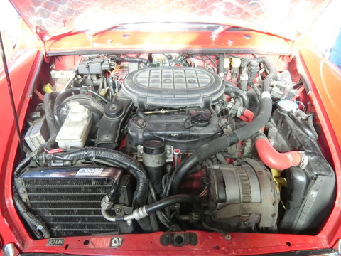 CIMG9463